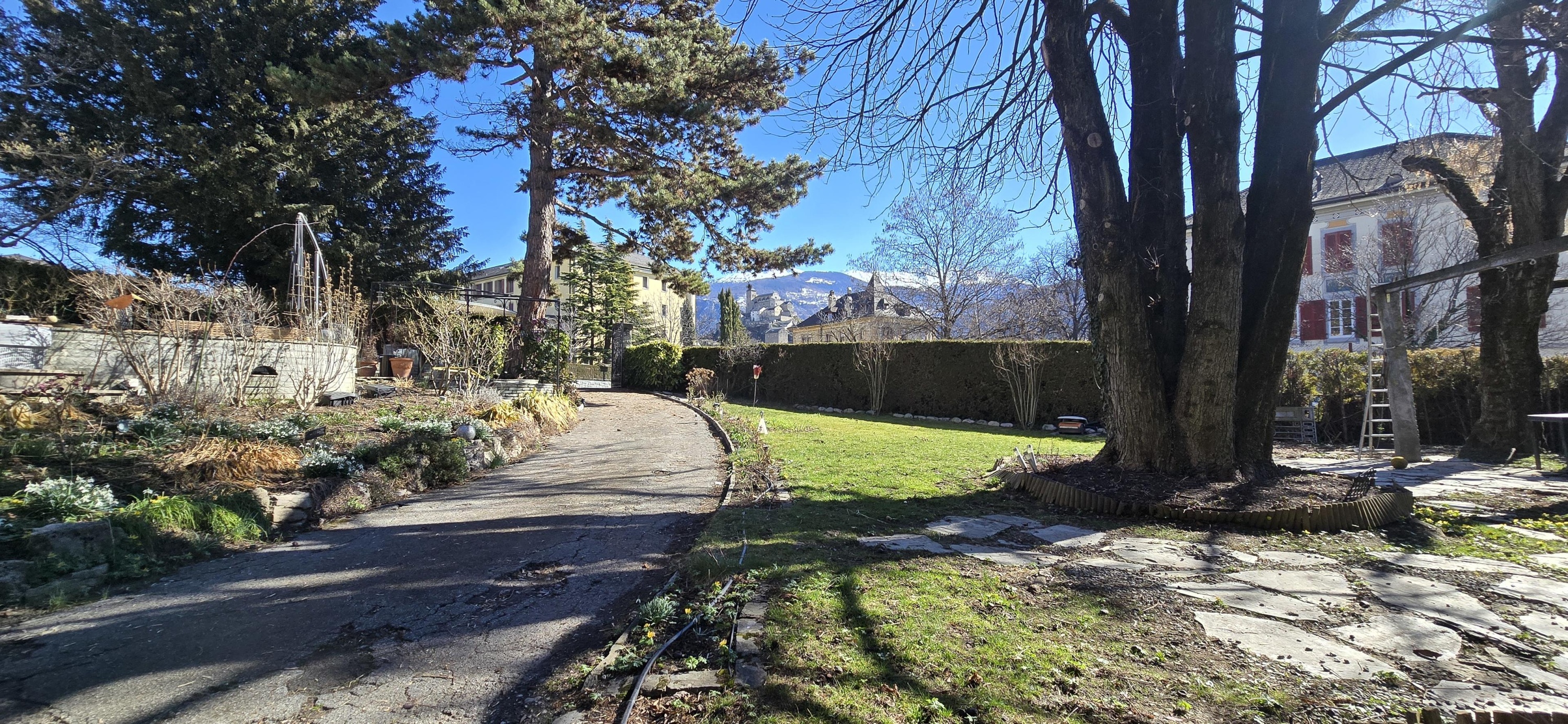 Großer Garten mit Zufahrt und altem Baumbestand
