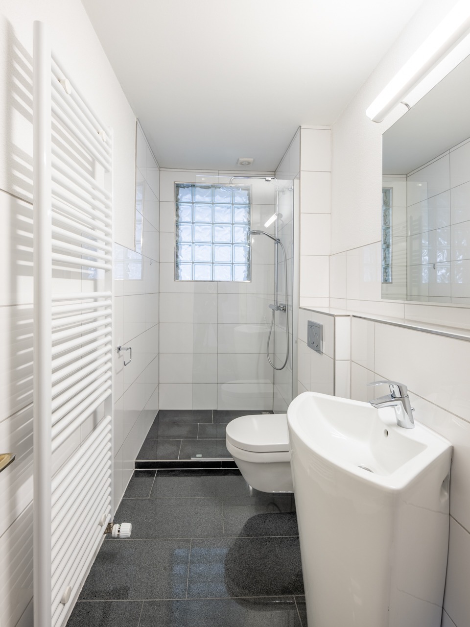 Kleines modernes Badezimmer mit Dusche und WC