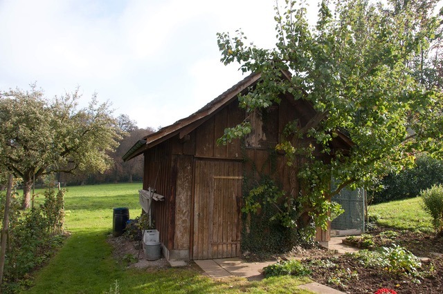 Holzschuppen im Grünen