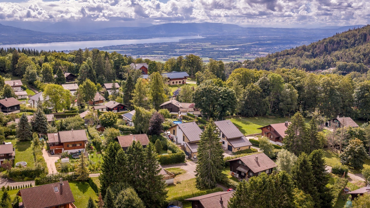 Luftaufnahme einer grünen Wohnsiedlung am Hang mit Seeblick