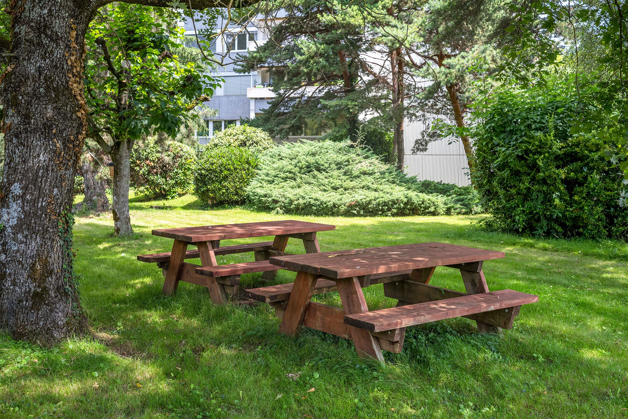 Grüne Gartenanlage mit Picknicktischen