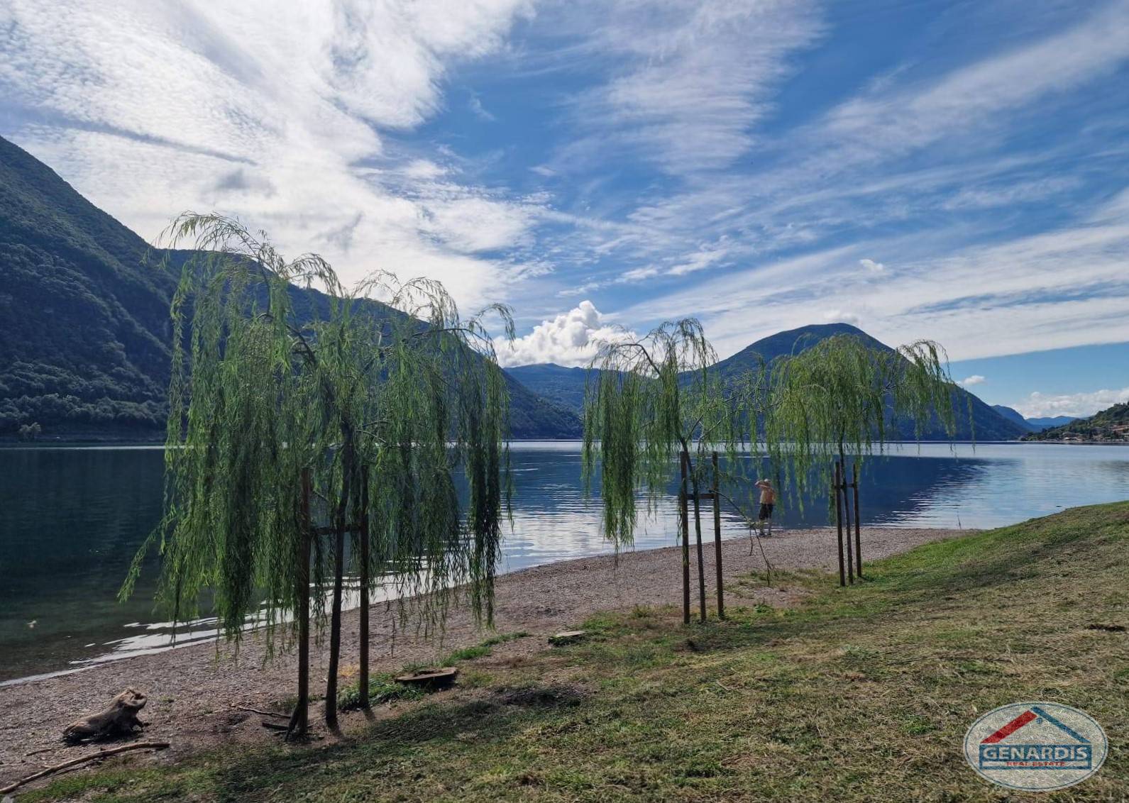 Seeufer mit Bergpanorama