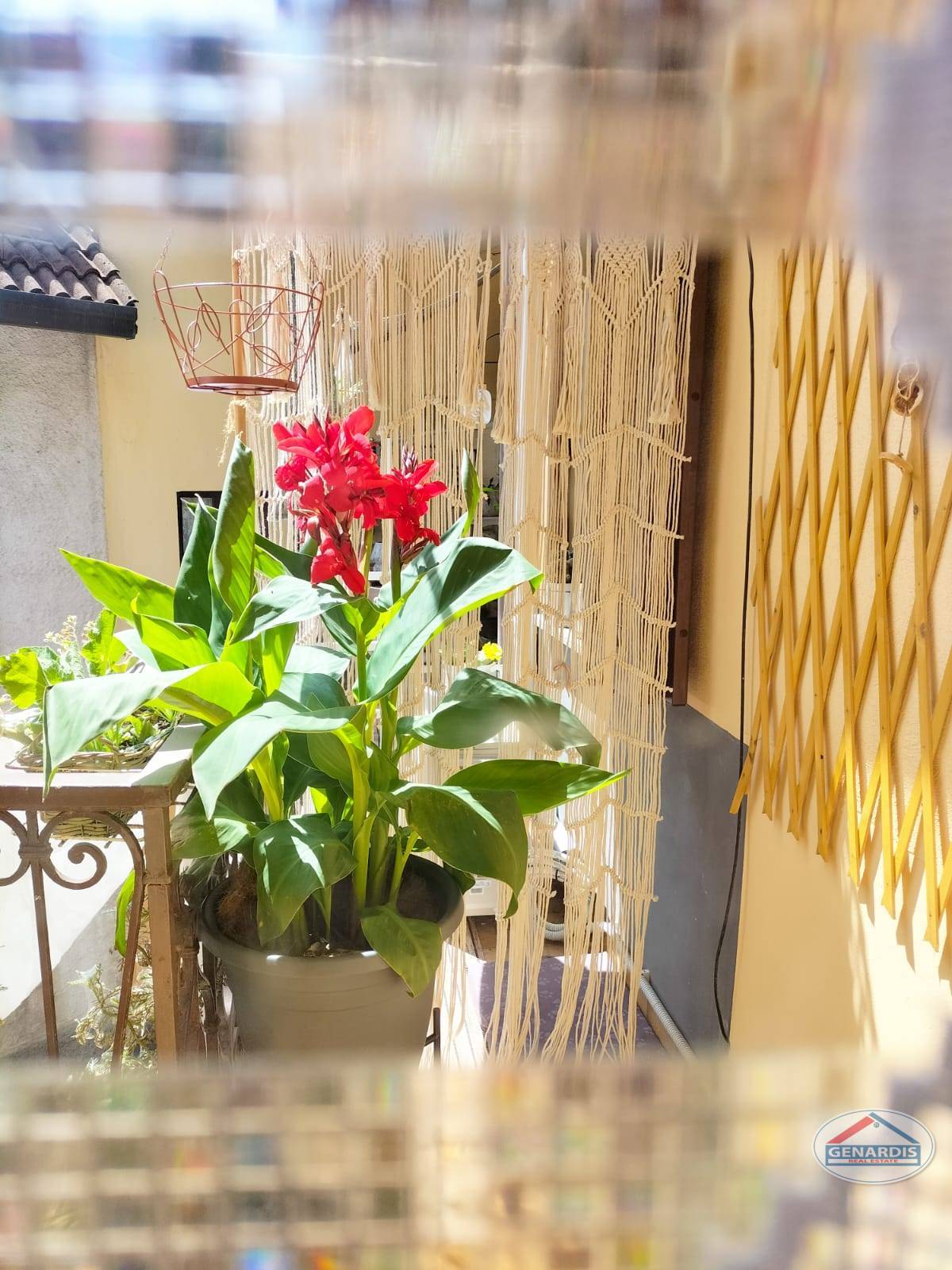 Bepflanzter Balkon mit Makramee-Vorhang