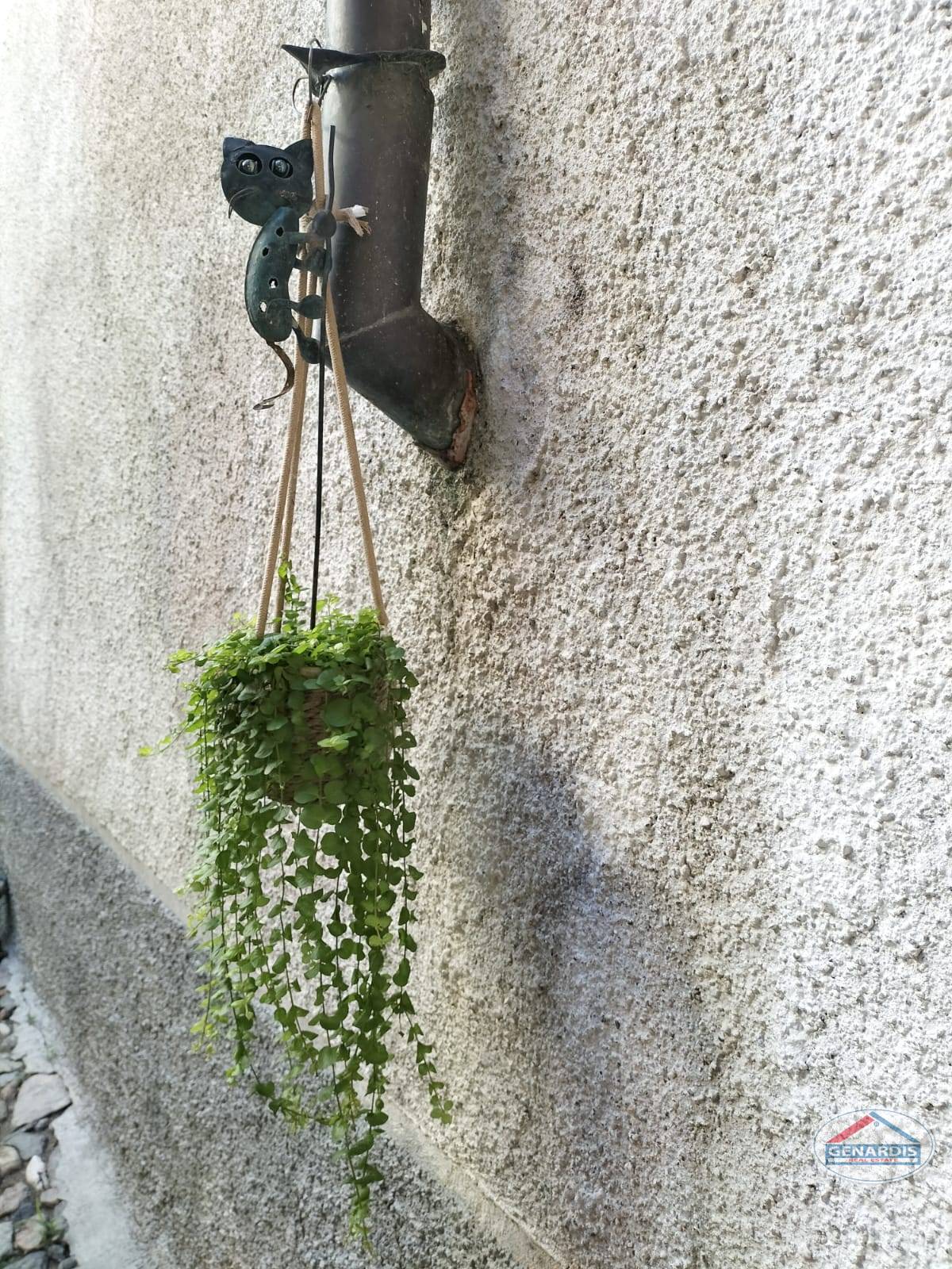 Außenwand mit Hängepflanze