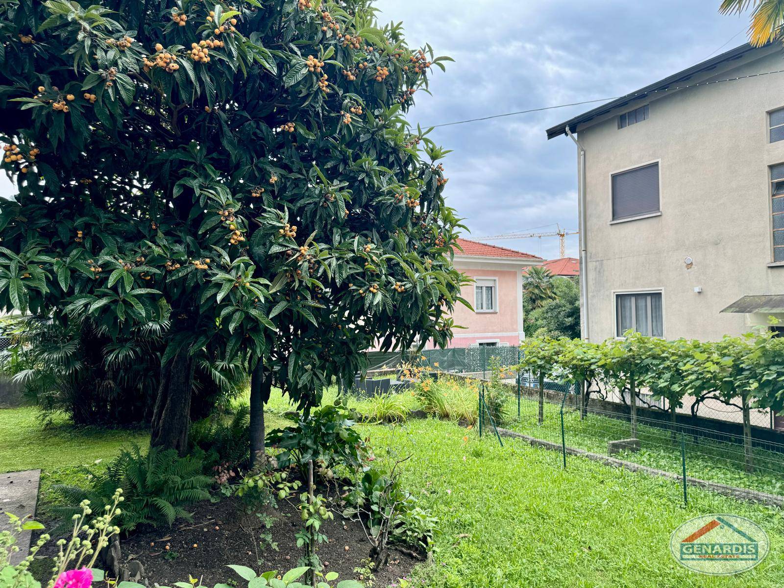 Garten mit Obstbaum und Wohnhäusern
