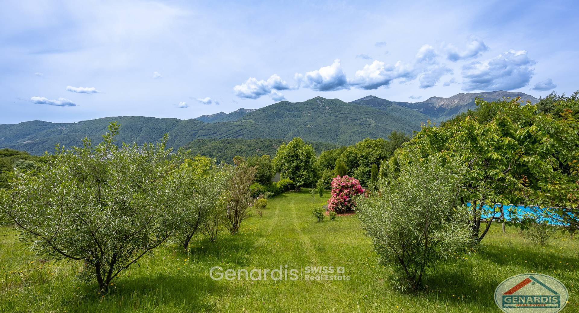 Garten mit Bergpanorama