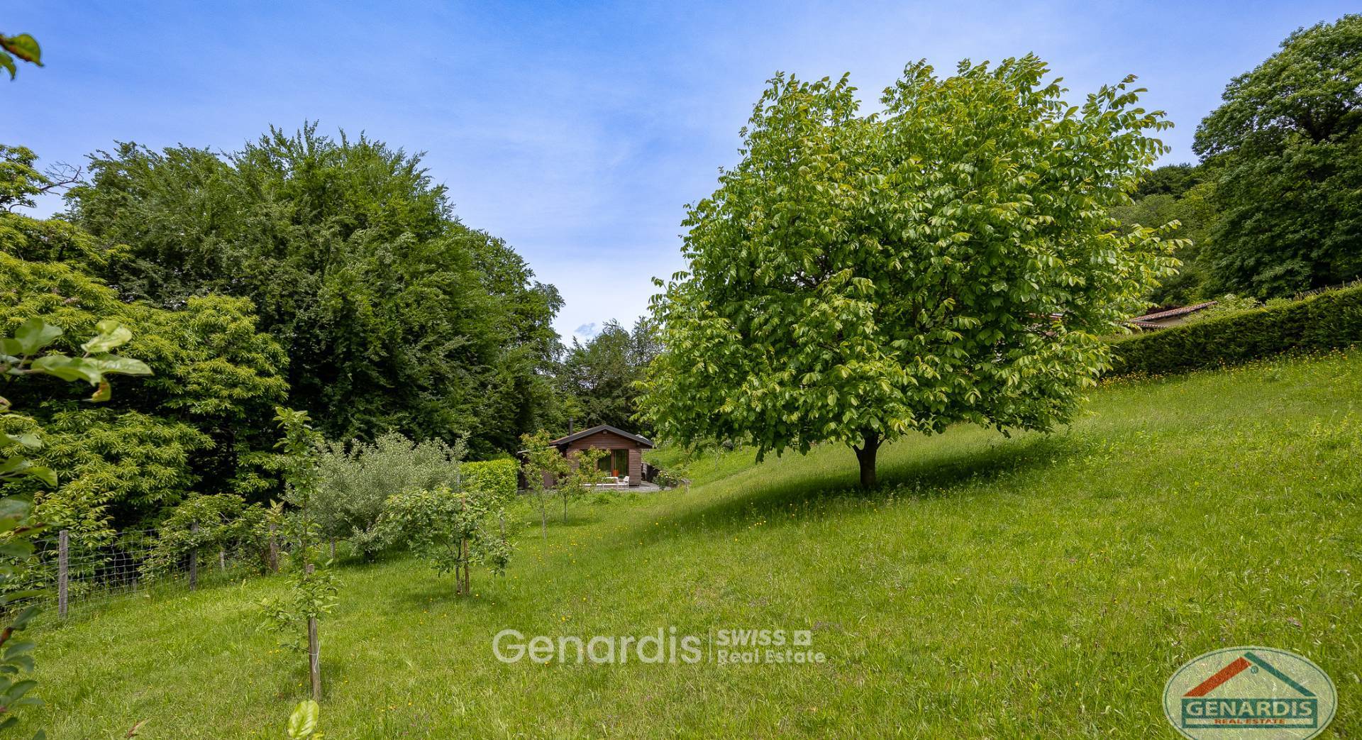Großer grüner Garten mit Bäumen und Hütte