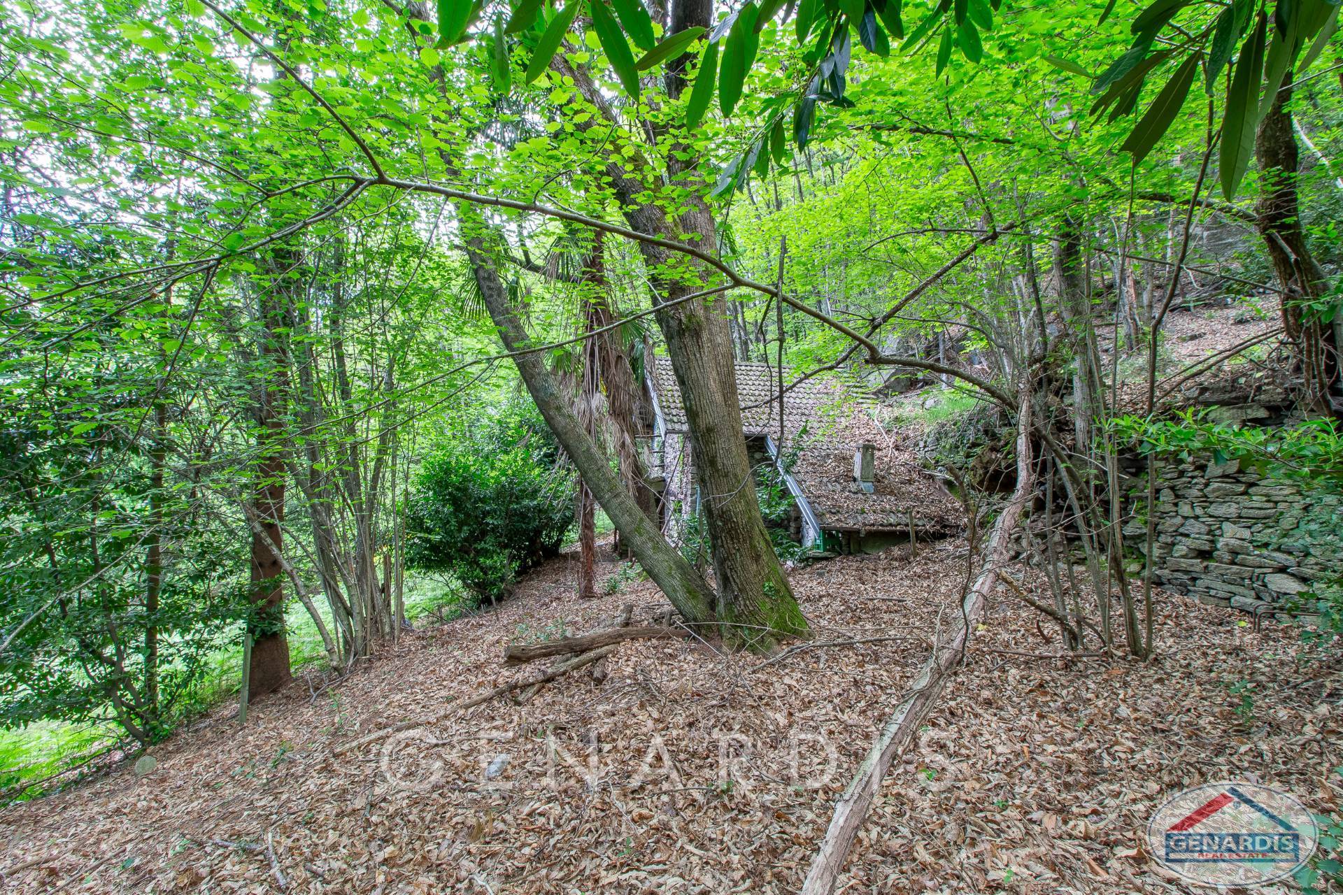 Waldgrundstück mit Hanglage und kleinem Gebäude
