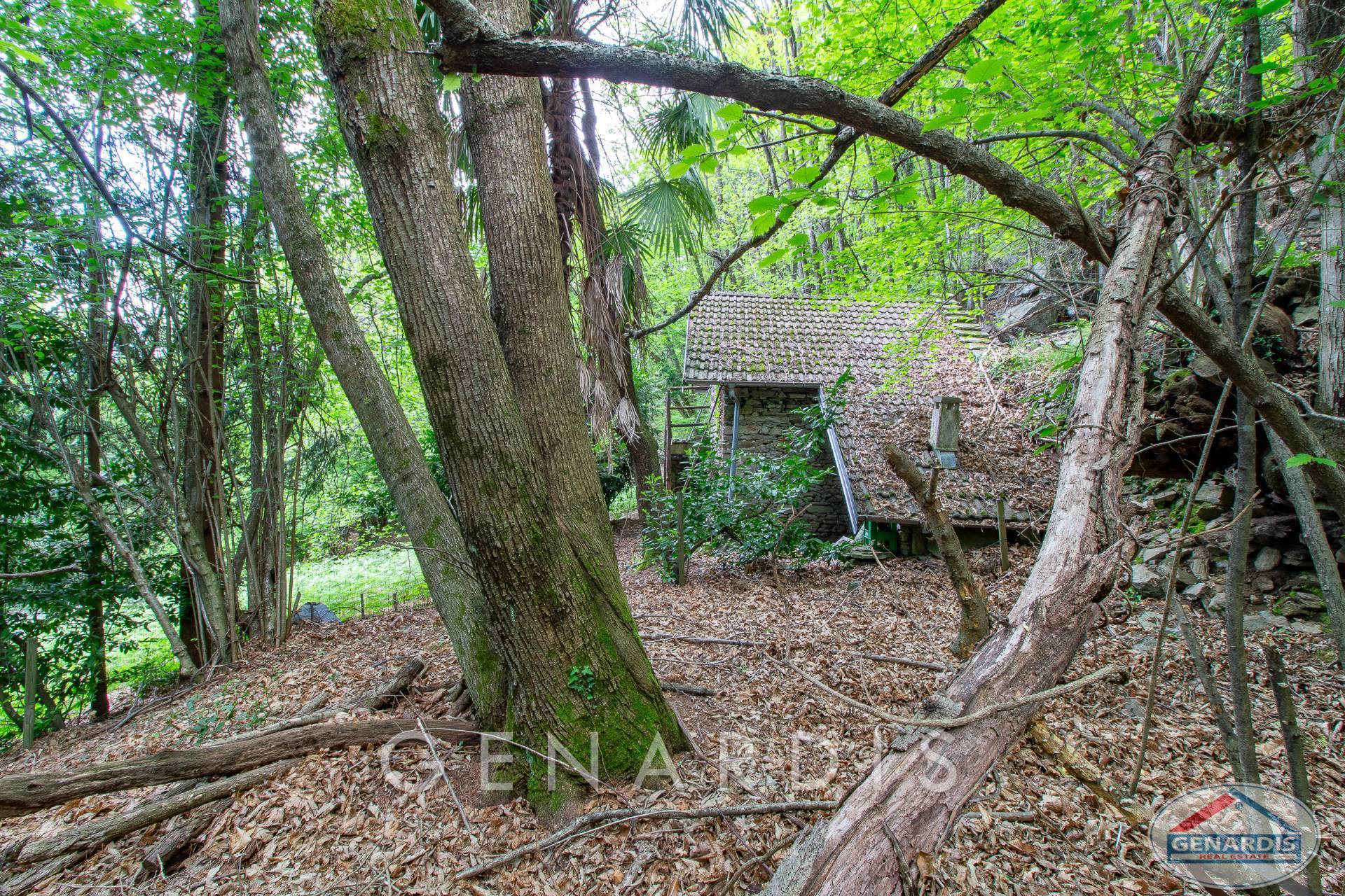 Waldgrundstück mit kleinem Steingebäude