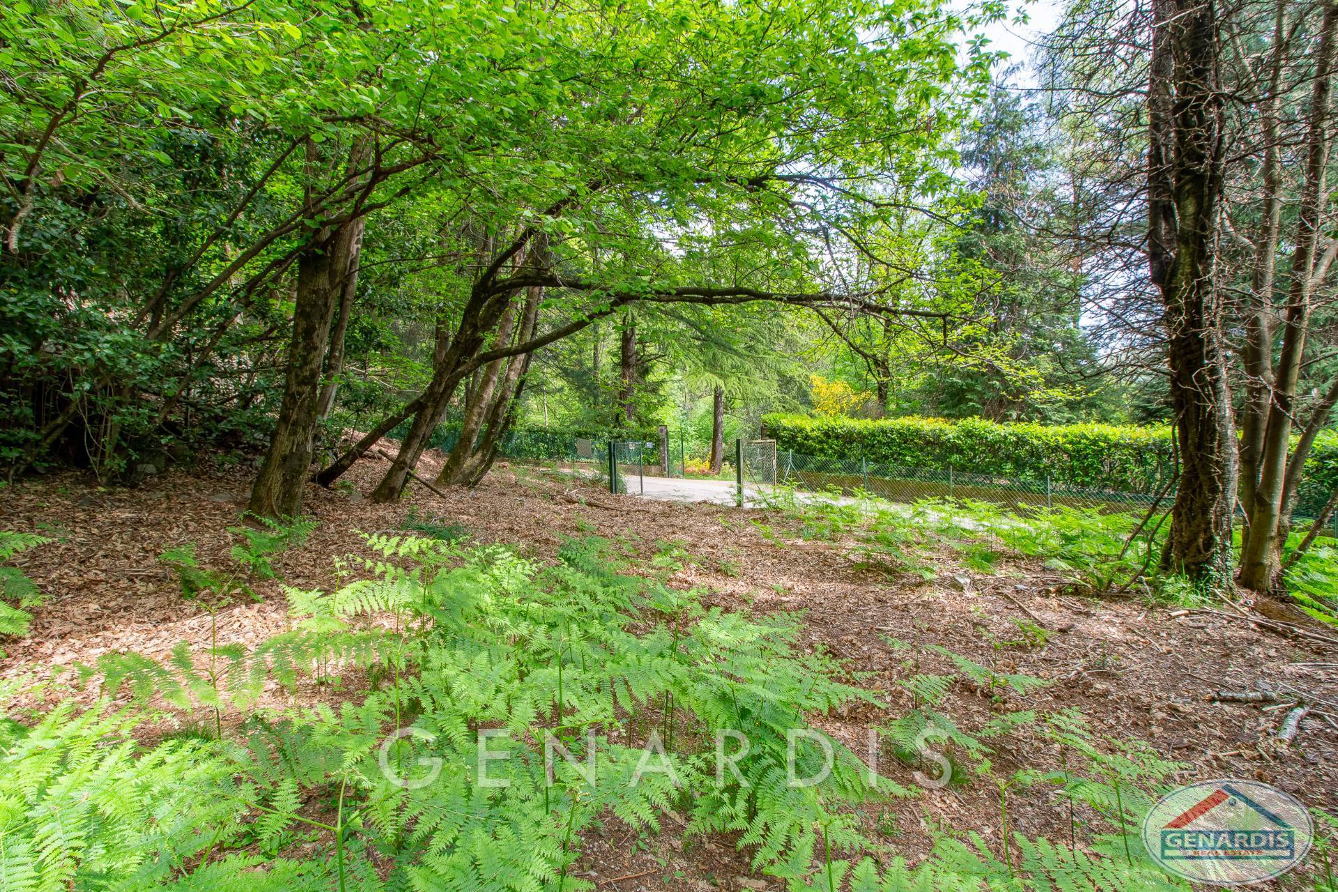 Bewaldetes Grundstück mit Zugang