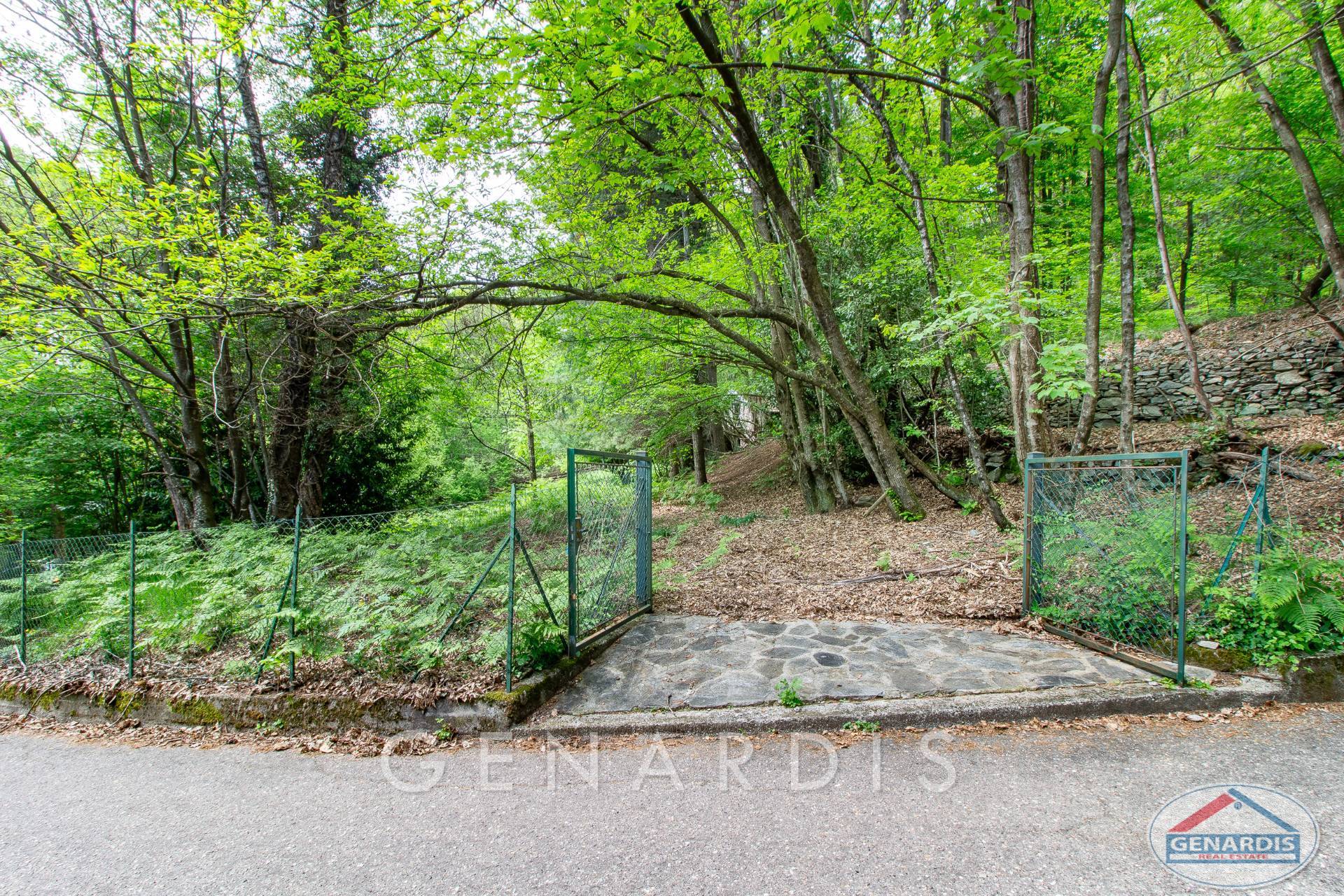 Bewaldetes Grundstück mit Torzugang