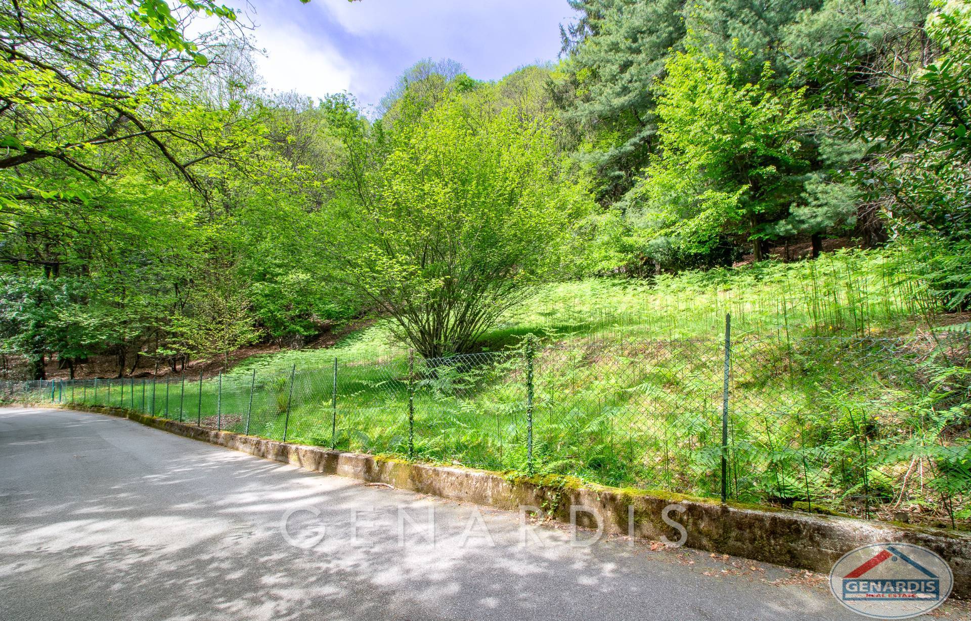 Waldgrundstück an einer Straße