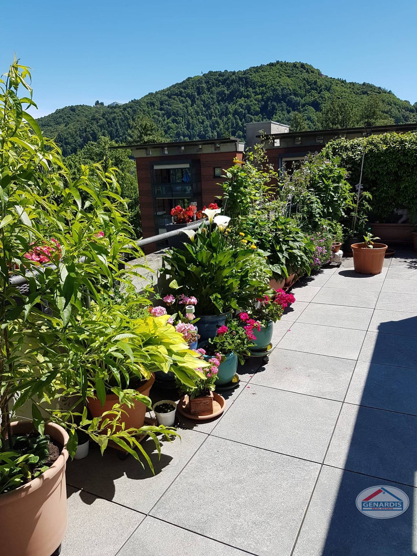 Balkon mit Pflanzen und Bergblick