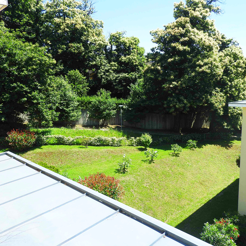 Blick in einen grünen Garten