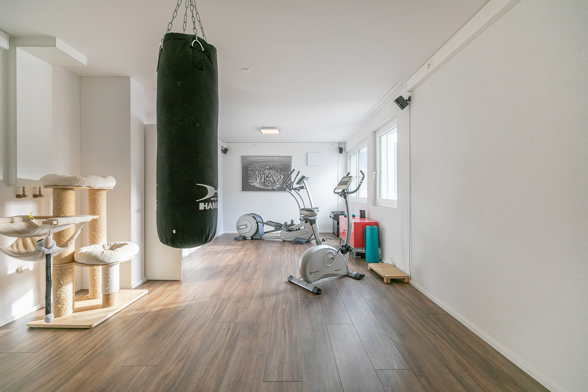 Heller Fitnessraum mit Trainingsgeräten und Kratzbaum