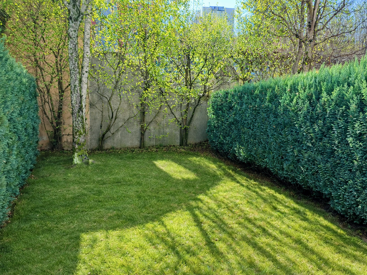 Gepflegter Garten mit Rasen und Hecken