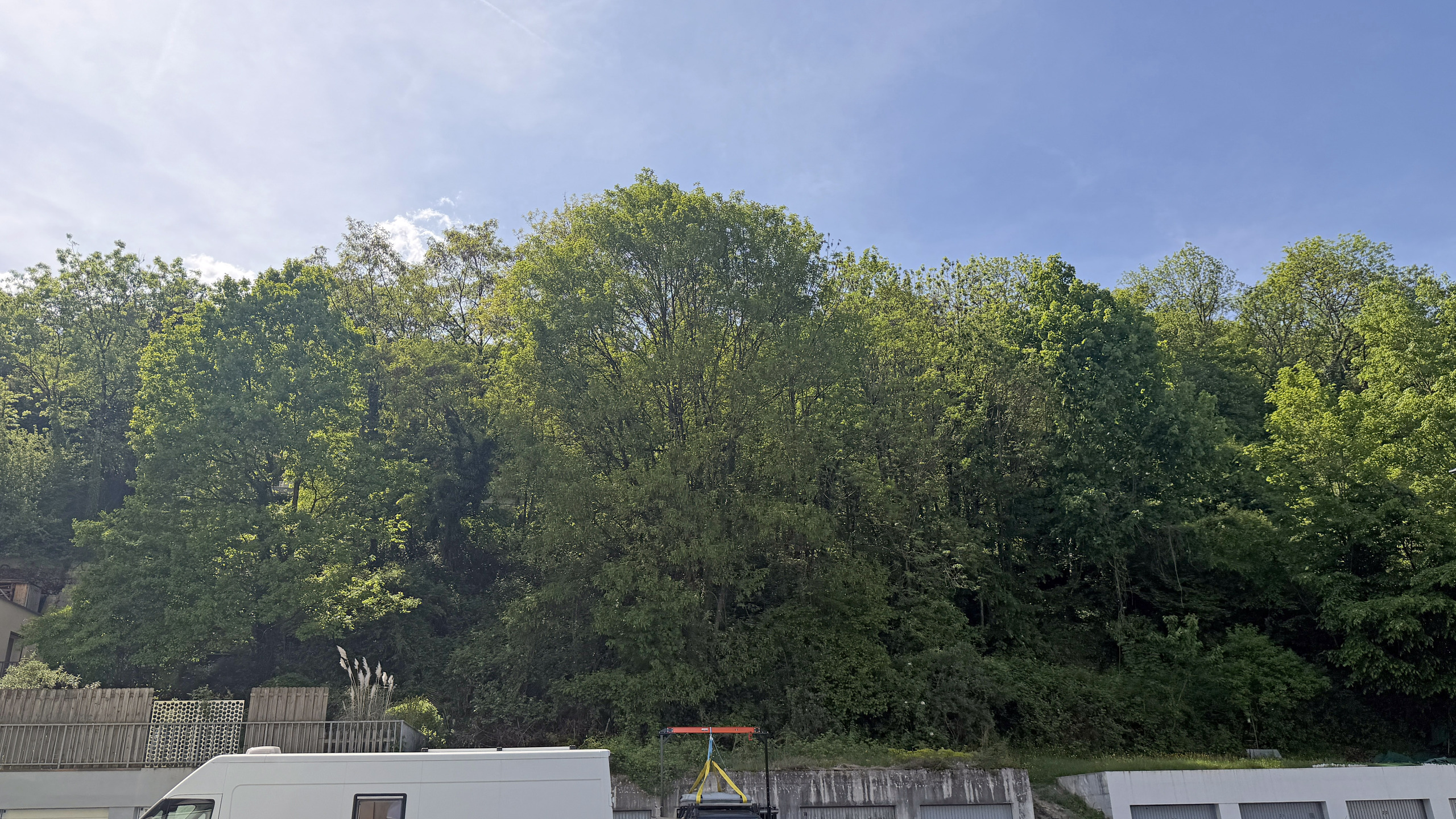 Hügeliger Waldrand mit Fahrzeugen im Vordergrund