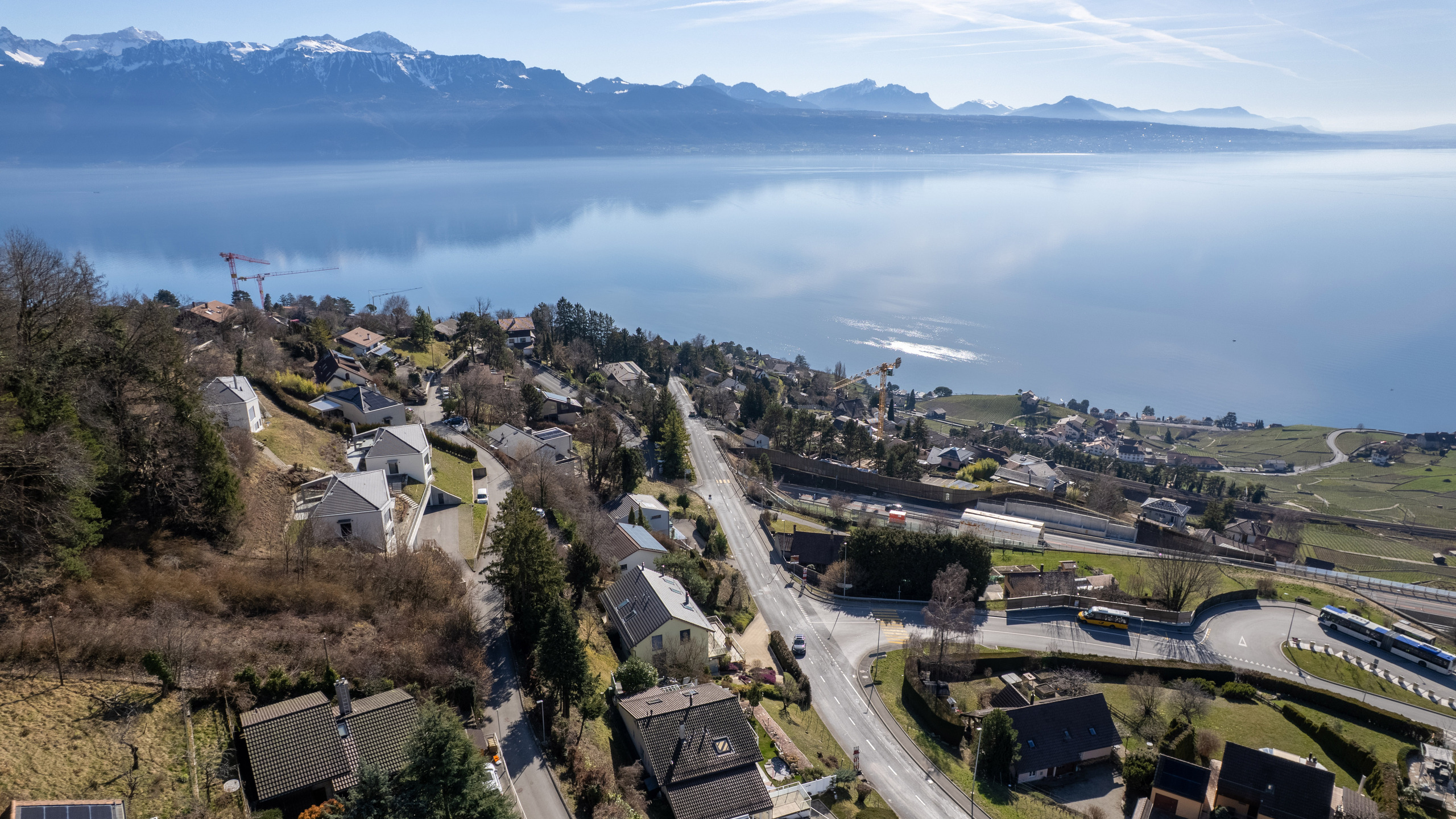 Luftaufnahme einer Wohnlage am See
