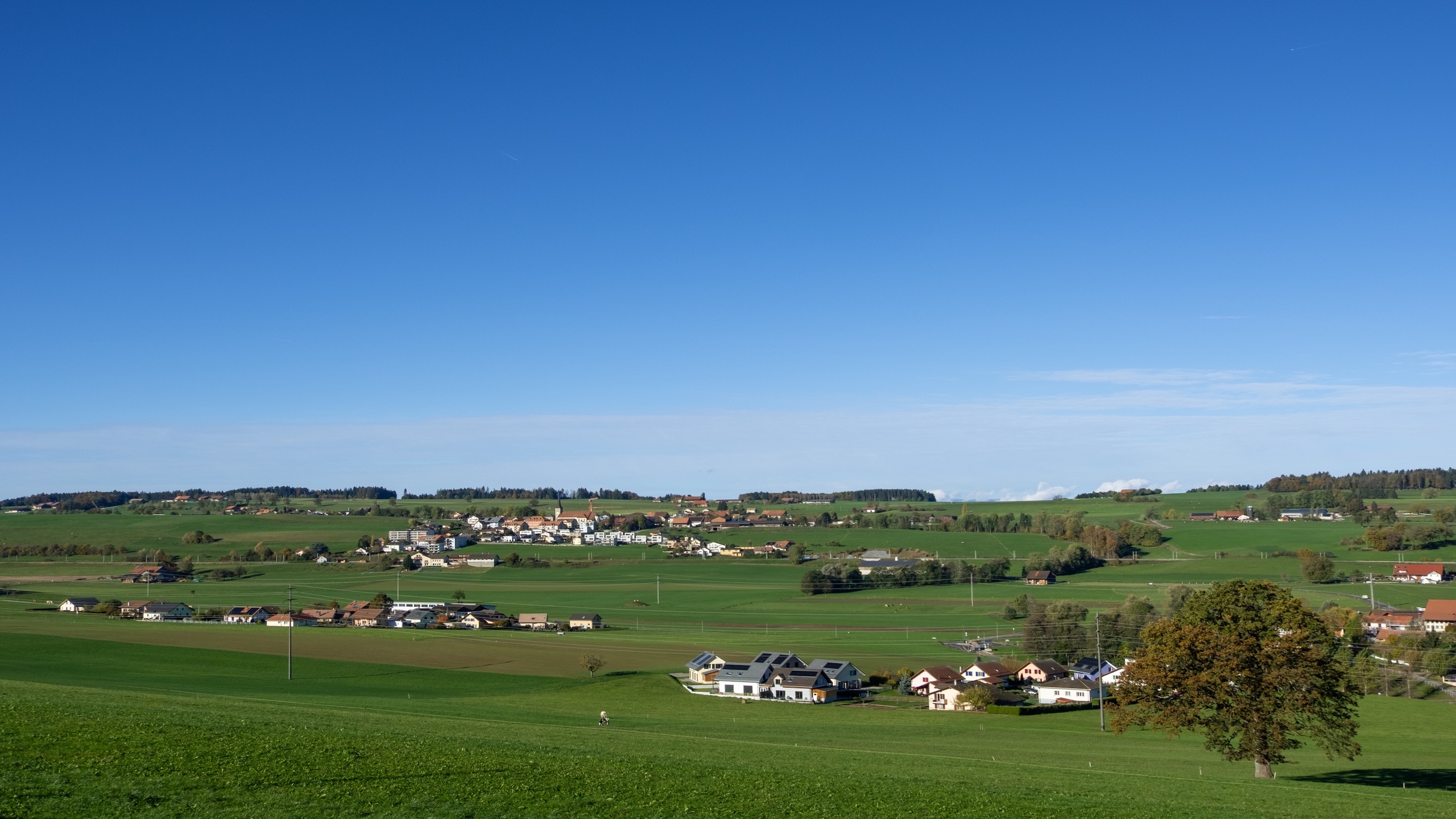 Ländliche Panoramalandschaft mit Dorf und Feldern