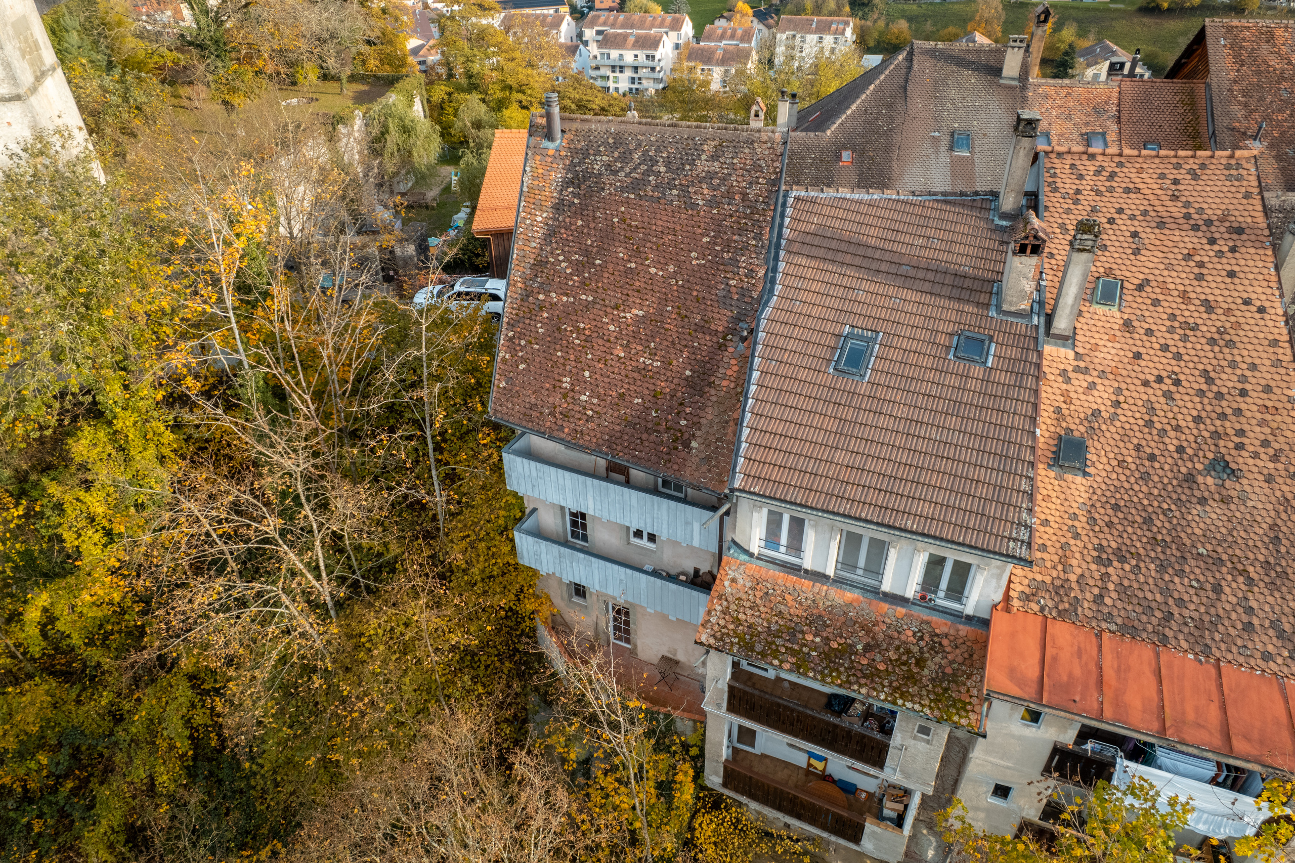 Dachansicht über Wohnhäuser mit Herbstbäumen