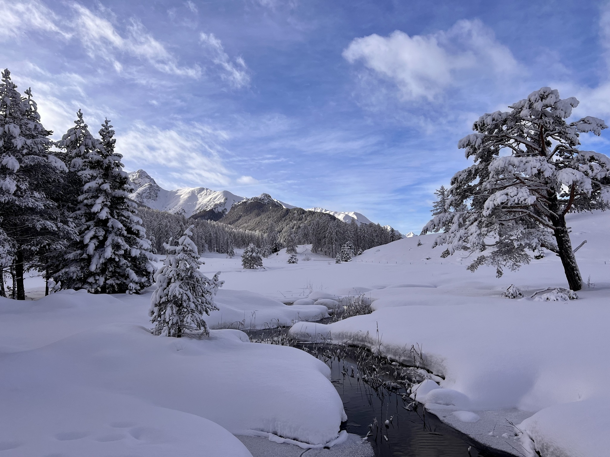 Winterliche Gebirgslandschaft mit Schneefläche