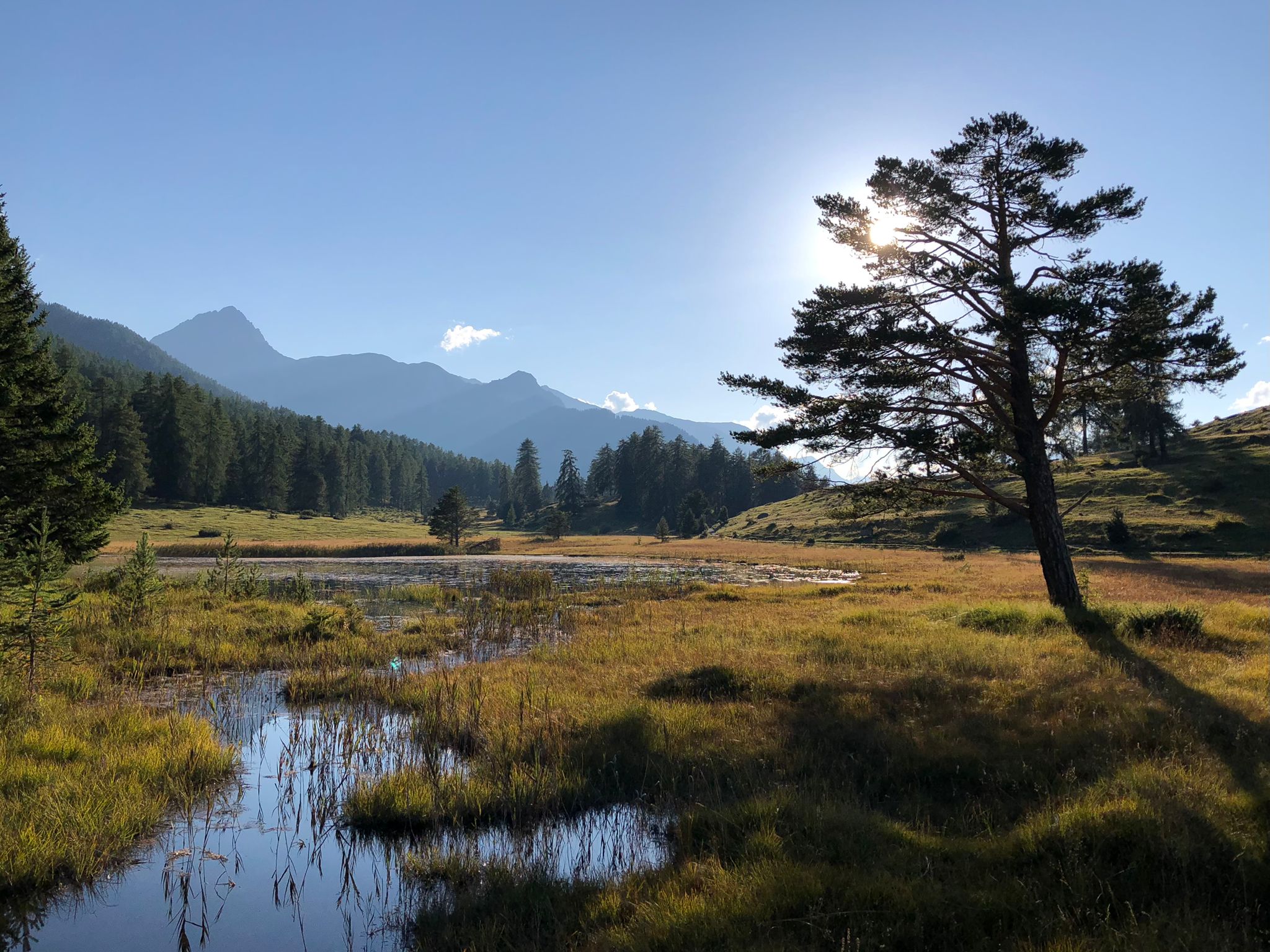 Alpines Landschaftspanorama mit Bergsee
