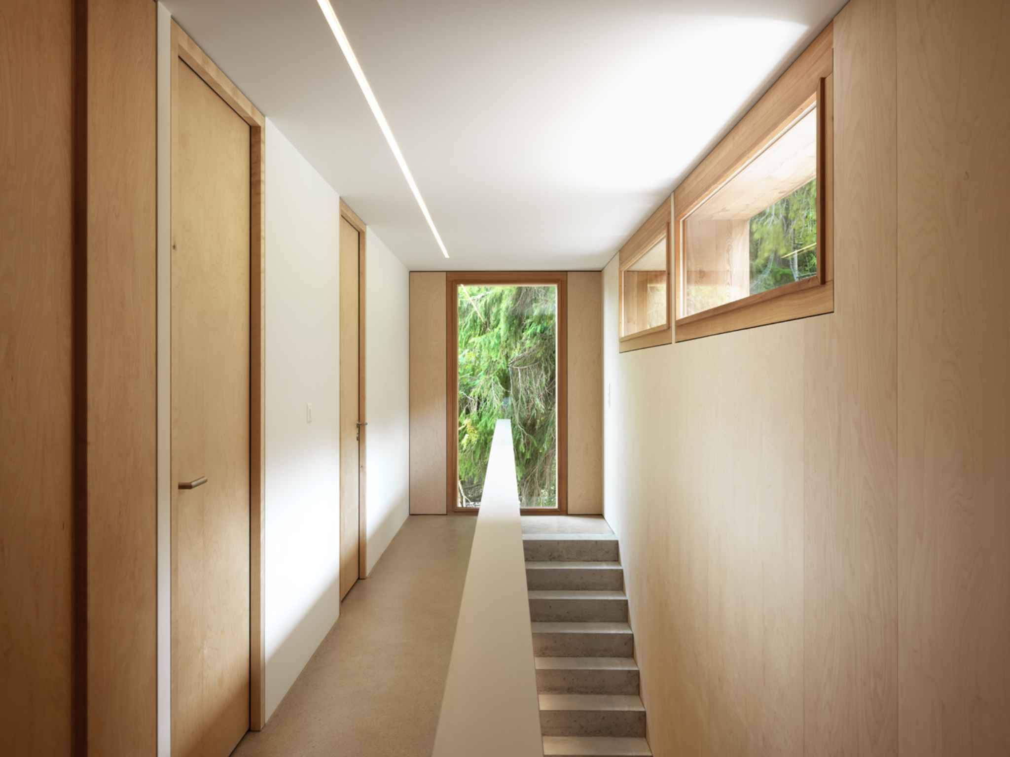 Moderner Flur mit Holzverkleidung und Treppe