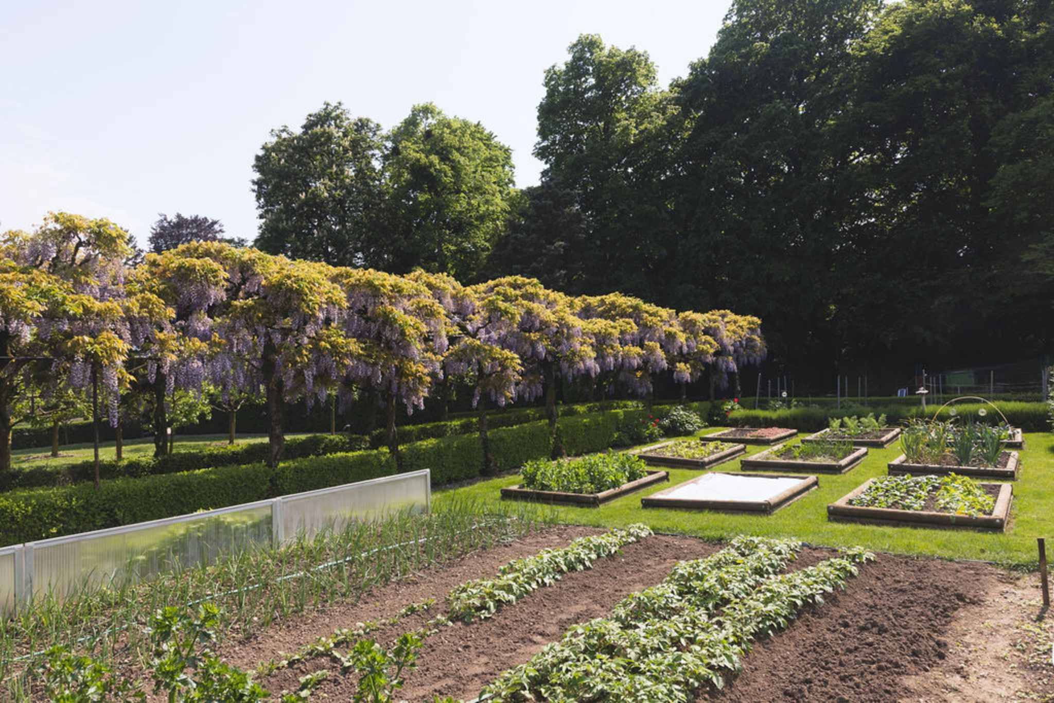 Gemüsegarten mit Hochbeeten