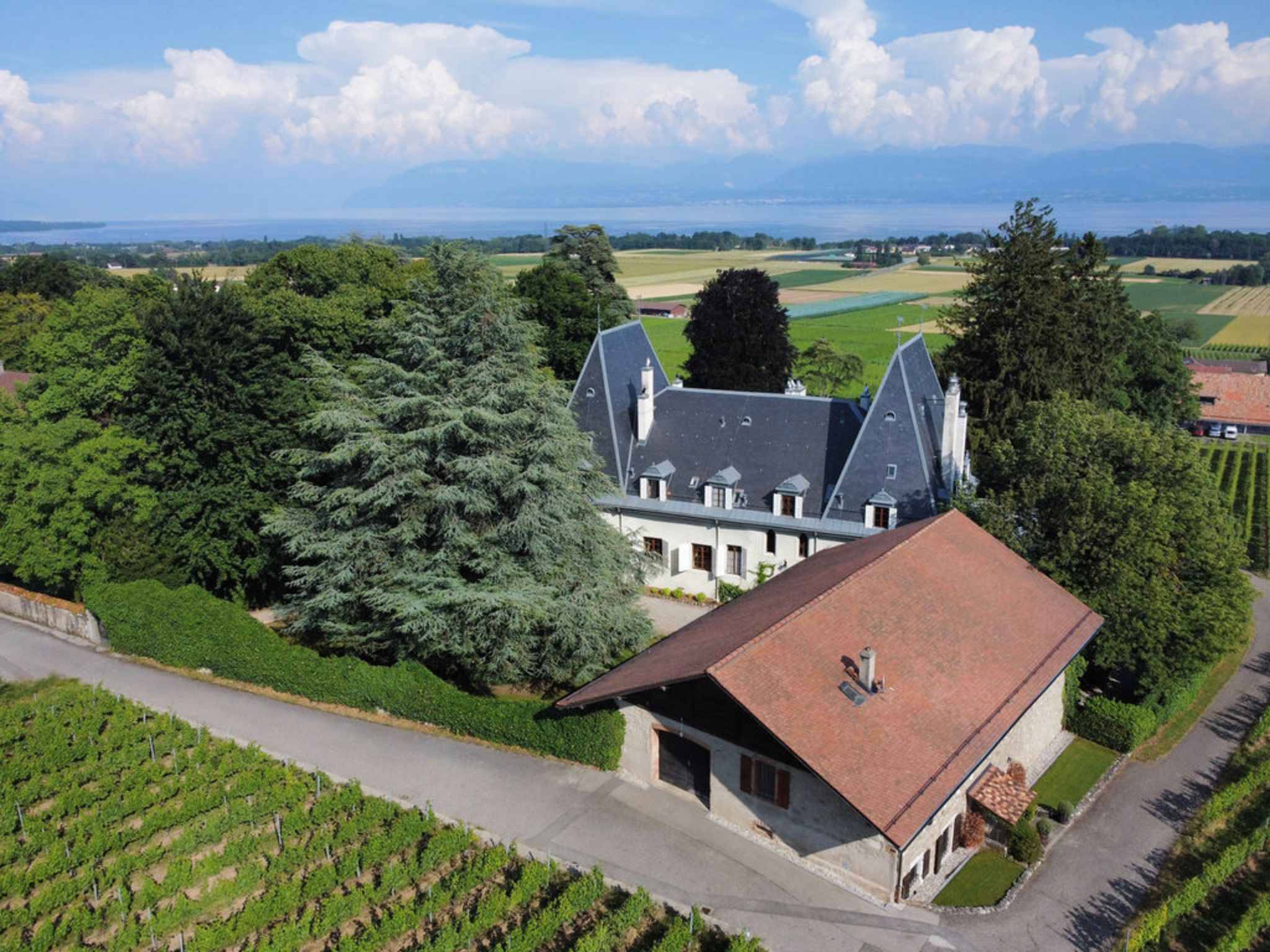 Luftaufnahme eines Landhauses mit Nebengebäude und Seeblick