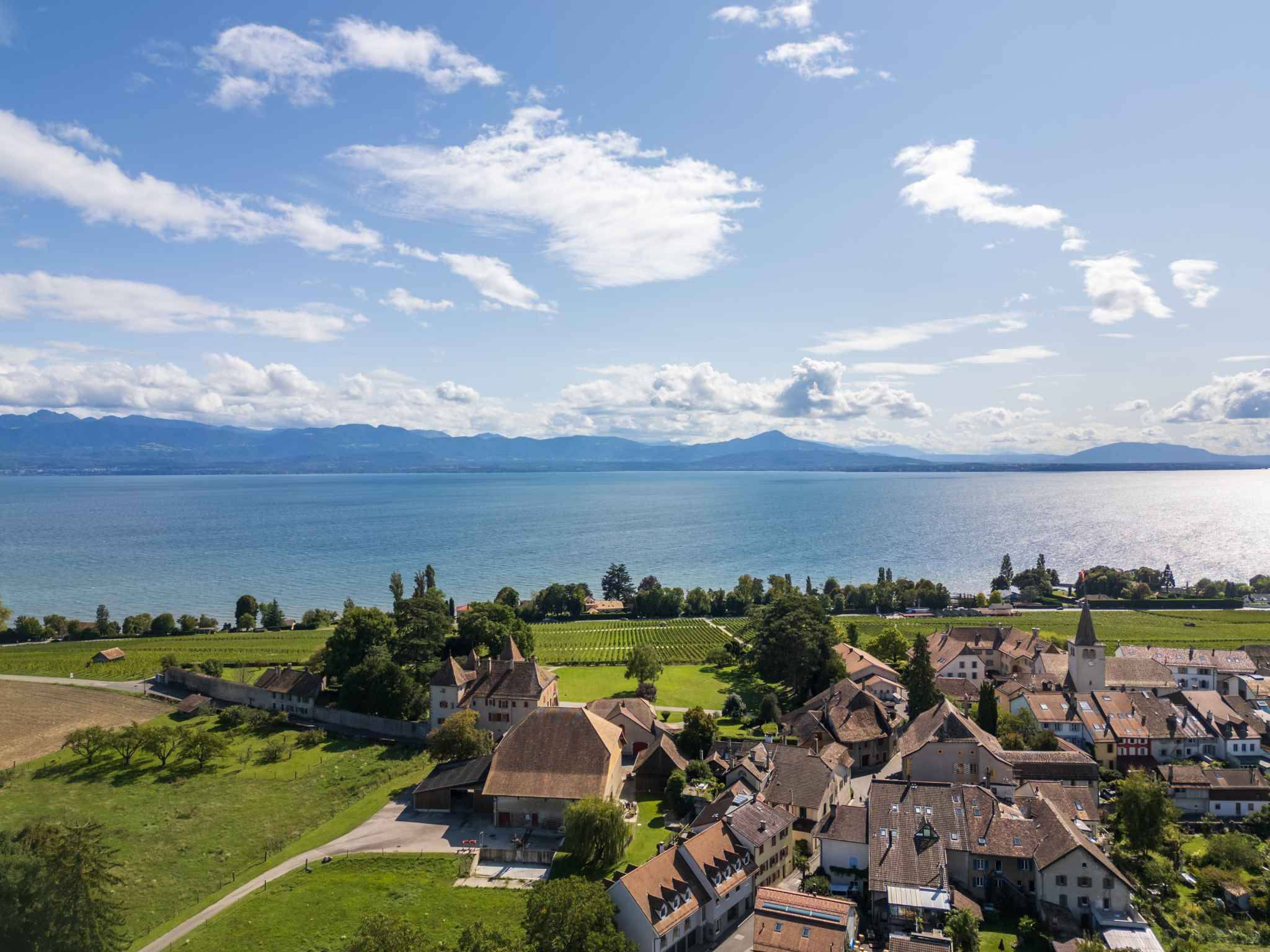Seeblick über Ortschaft und Weinberge