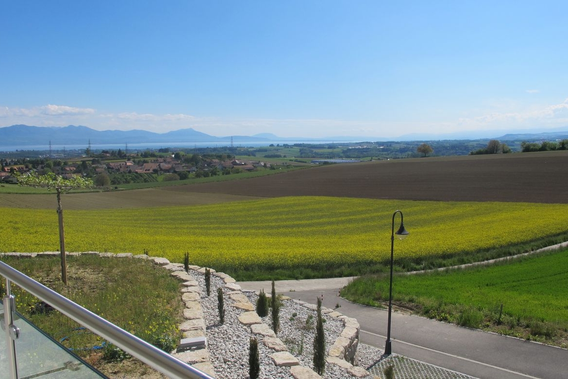 Panoramablick über Felder und See
