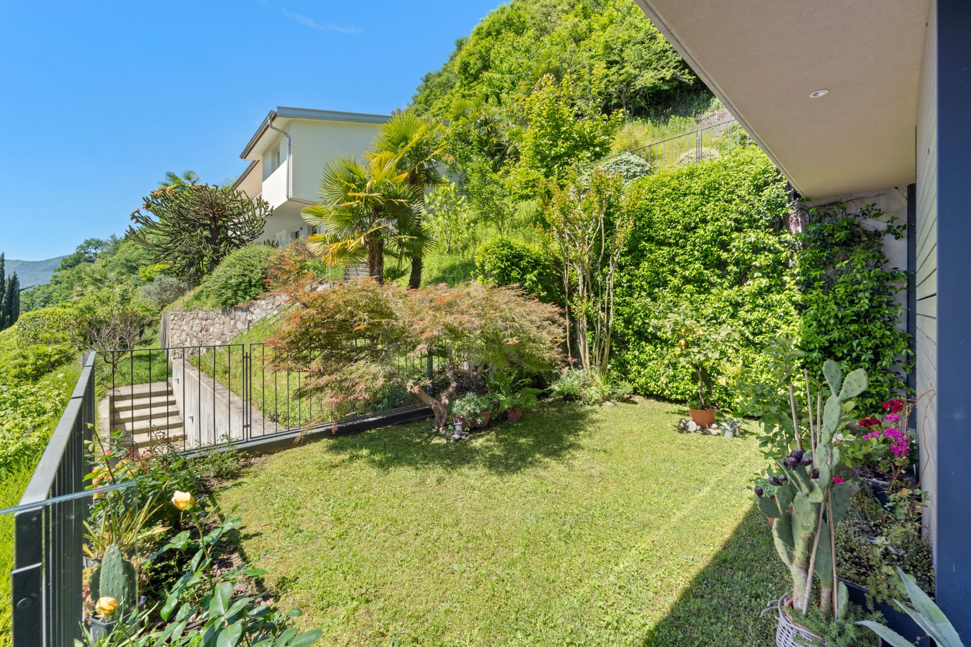 Grüner Gartenbereich mit Haus und Hanglage
