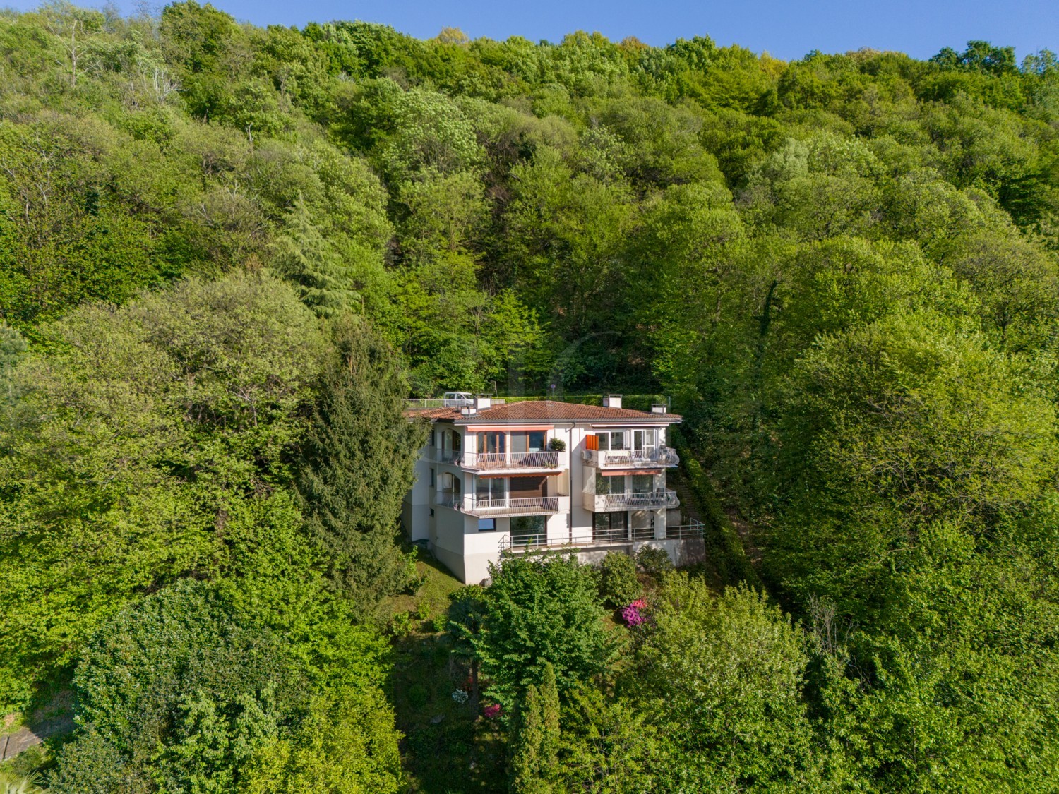 Luftaufnahme eines Hauses im Grünen