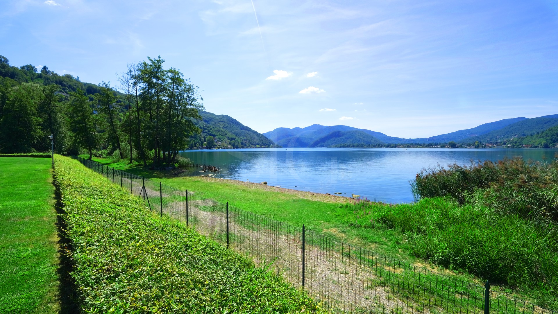 Seeblick mit grüner Uferlandschaft