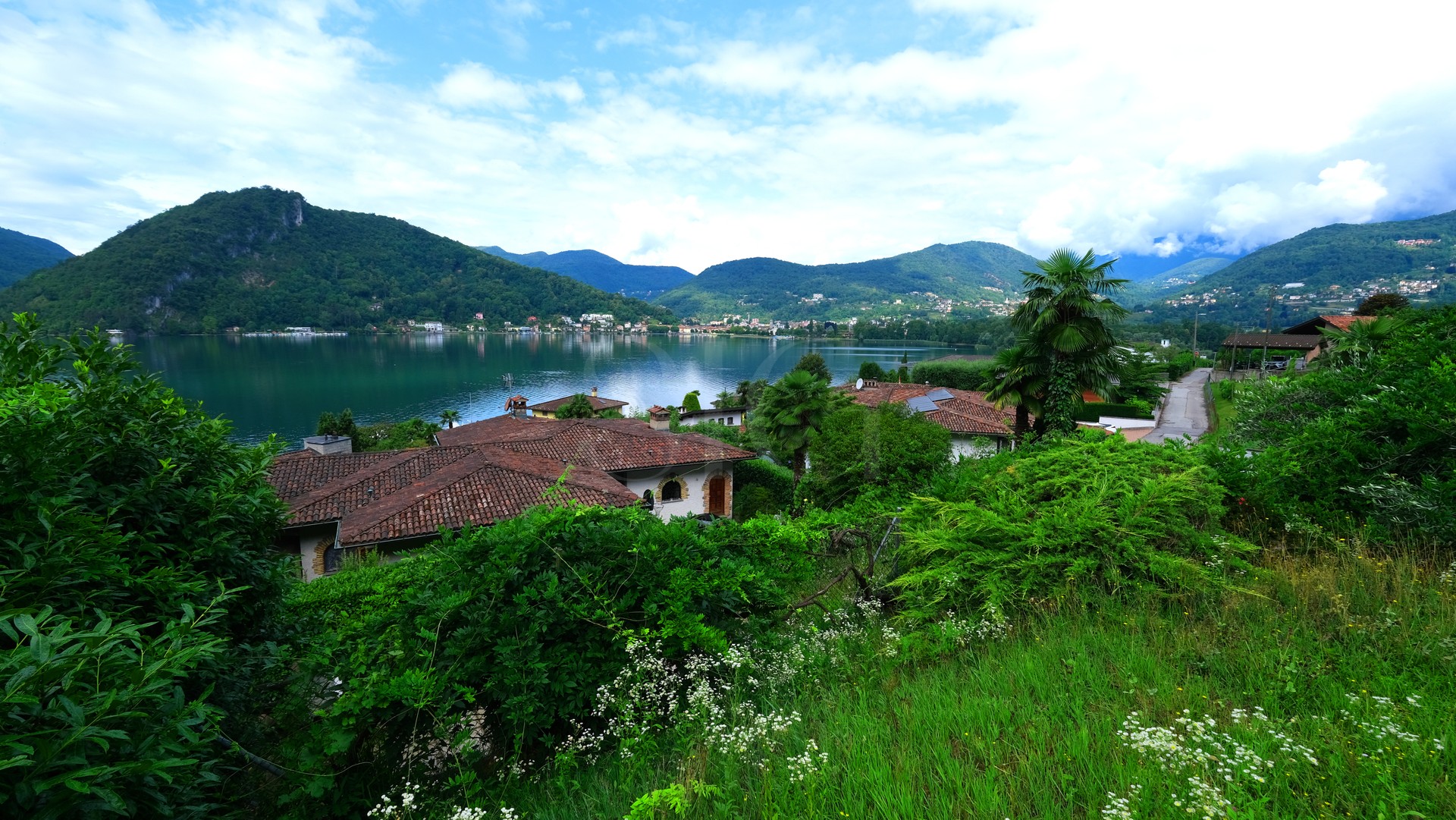Seeblick über grüne Hügellandschaft