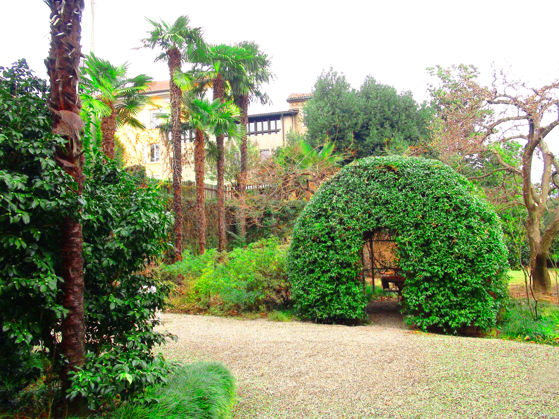 Üppiger mediterraner Garten mit Palmen