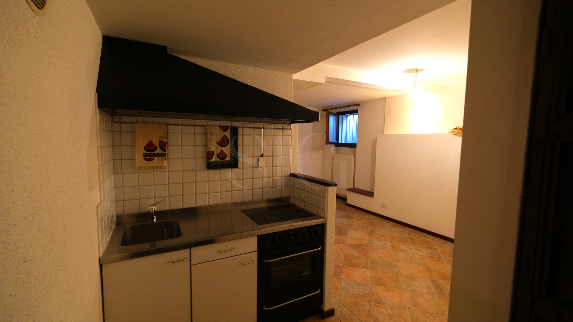 Kleine Küche mit Blick in den Wohnbereich
