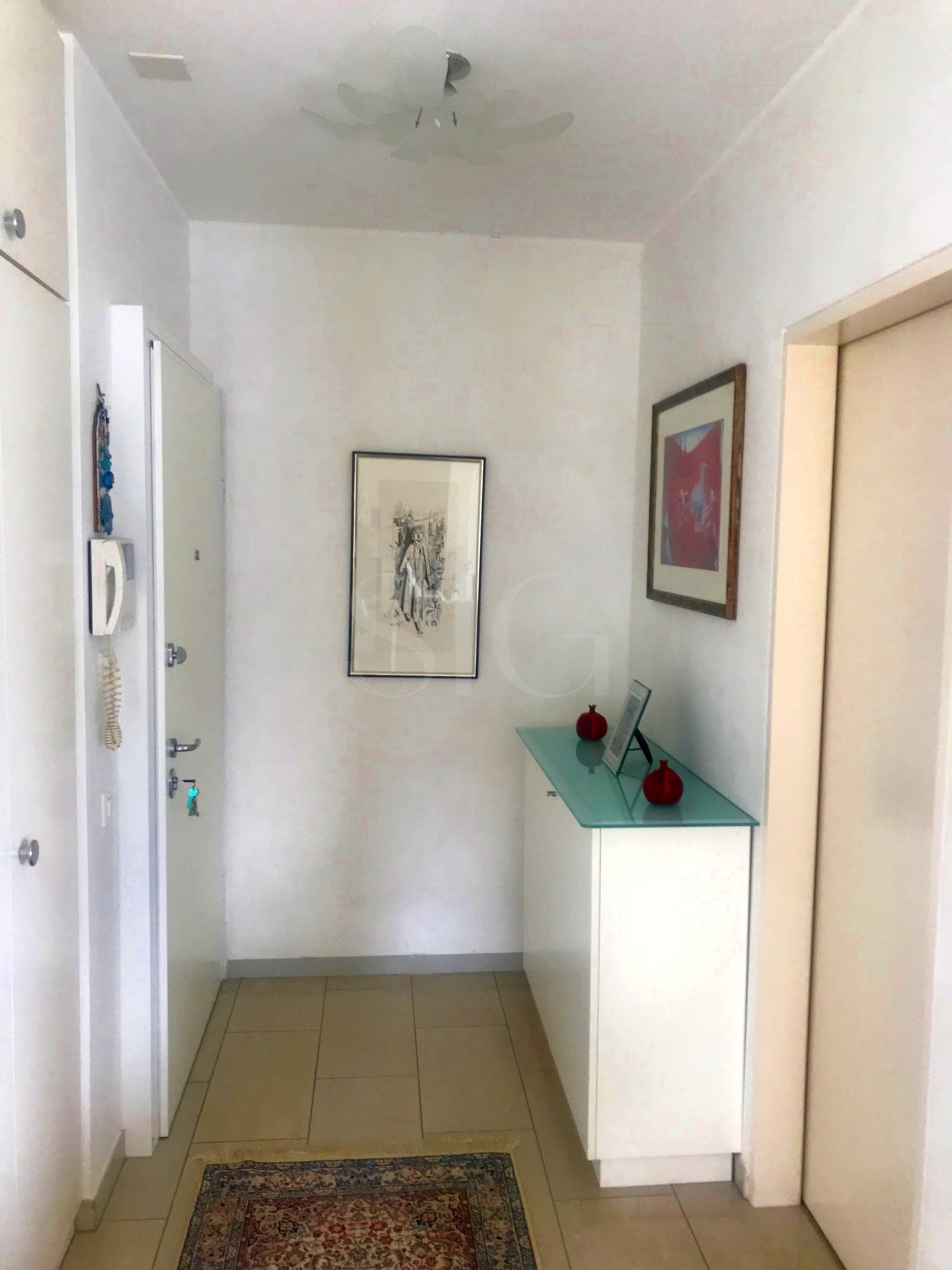 Heller Eingangsflur mit Dekoration