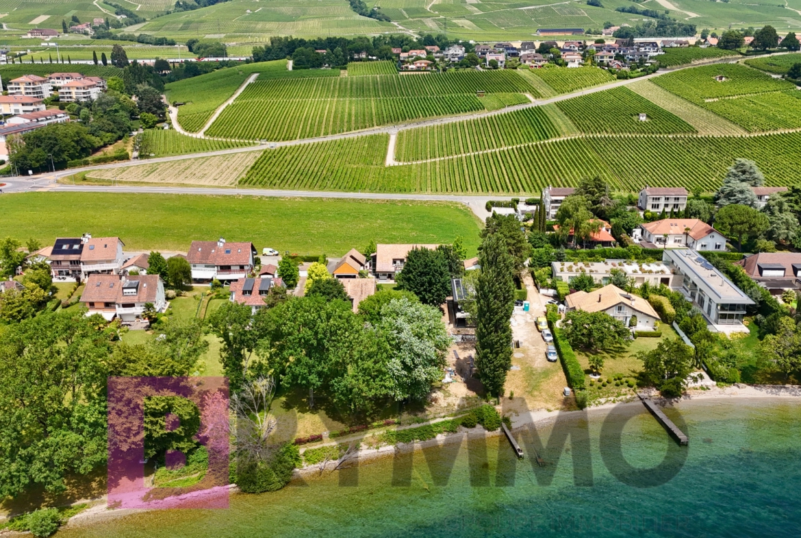 Luftaufnahme eines Seegrundstücks mit Weinbergen