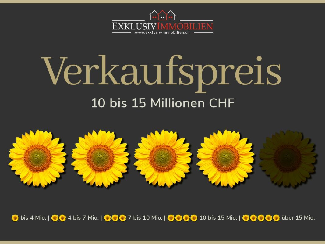 Preisgrafik mit Maklerbranding