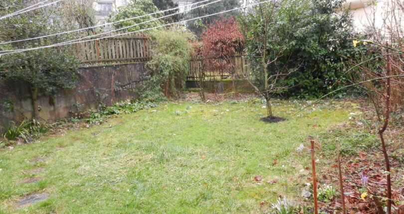 Garten mit Rasen und Randbepflanzung