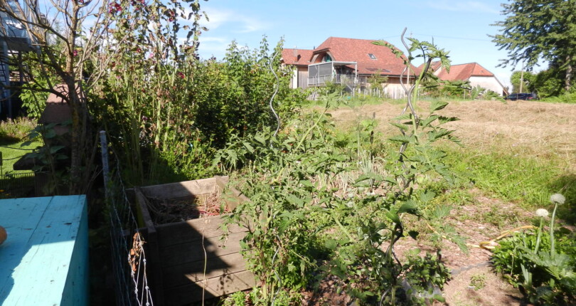 Garten mit Wohnhaus im Hintergrund