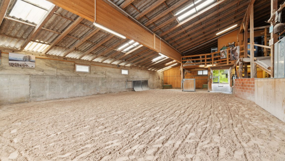 Großer Stall-/Reitbereich