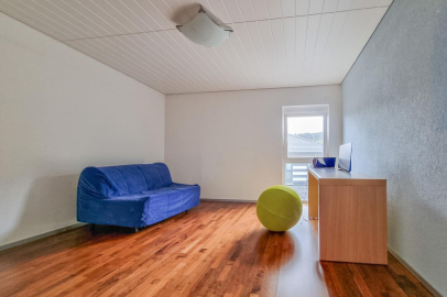 Heller Wohnraum mit blauem Sofa und Holzboden