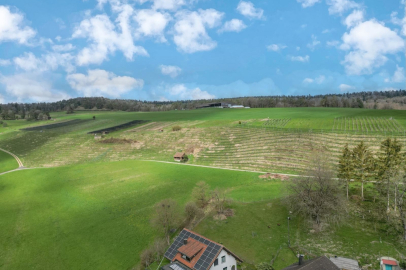 Landschaftsblick über grüne Felder