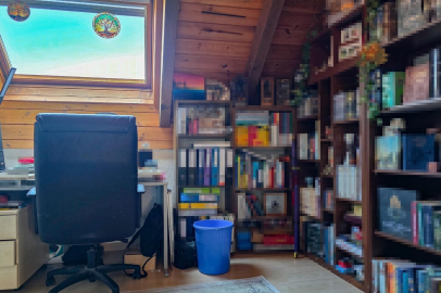 Gemütliches Arbeitszimmer mit Bücherregalen
