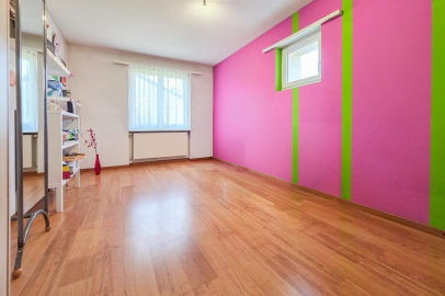 Heller leerer Raum mit pinker Akzentwand