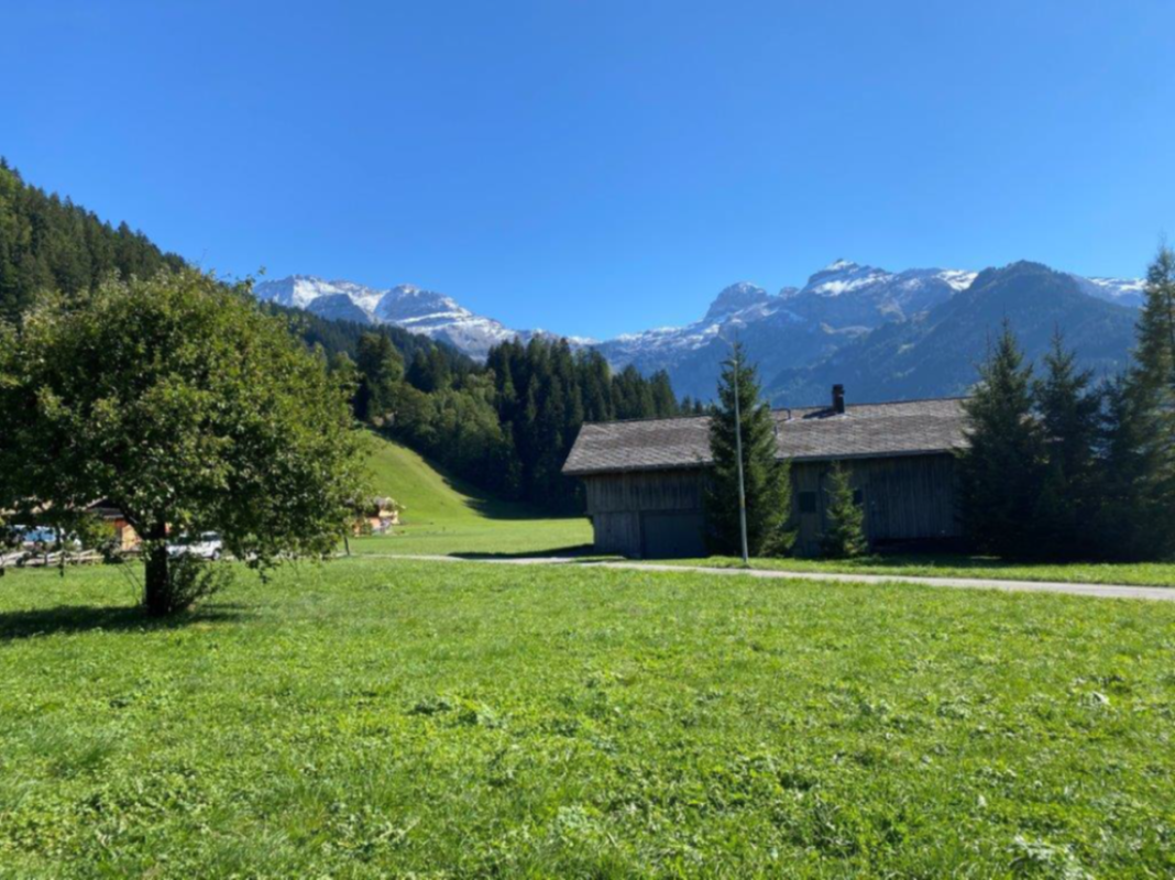 Alpine Wiese mit Bergpanorama
