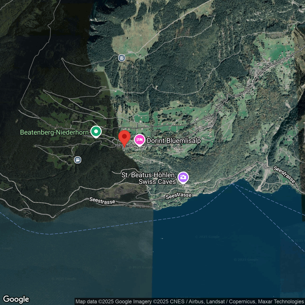 Satellitenkarte einer alpinen Uferregion