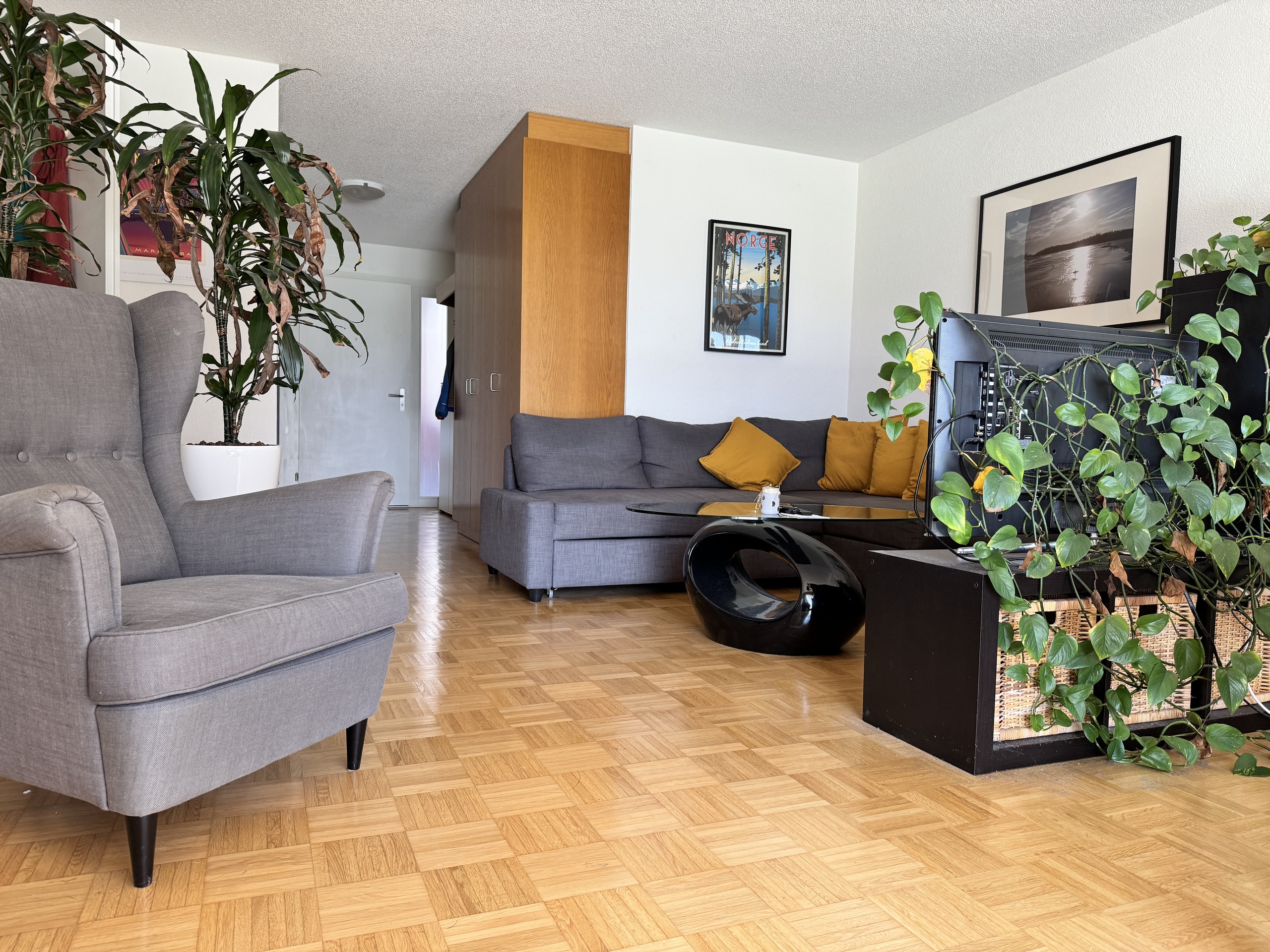 Wohnzimmer mit grauem Sofa und Holzboden